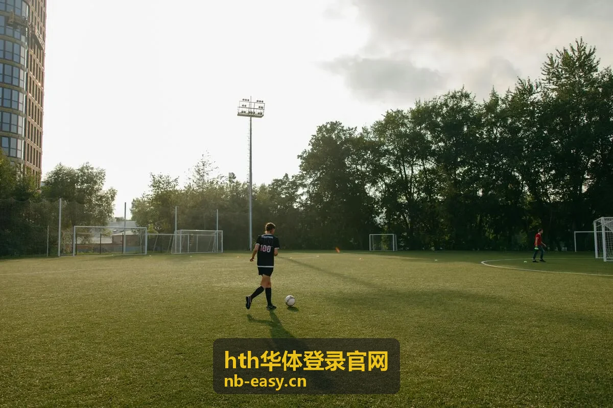 hth华体登录官网客户端主界面与数据看板预览