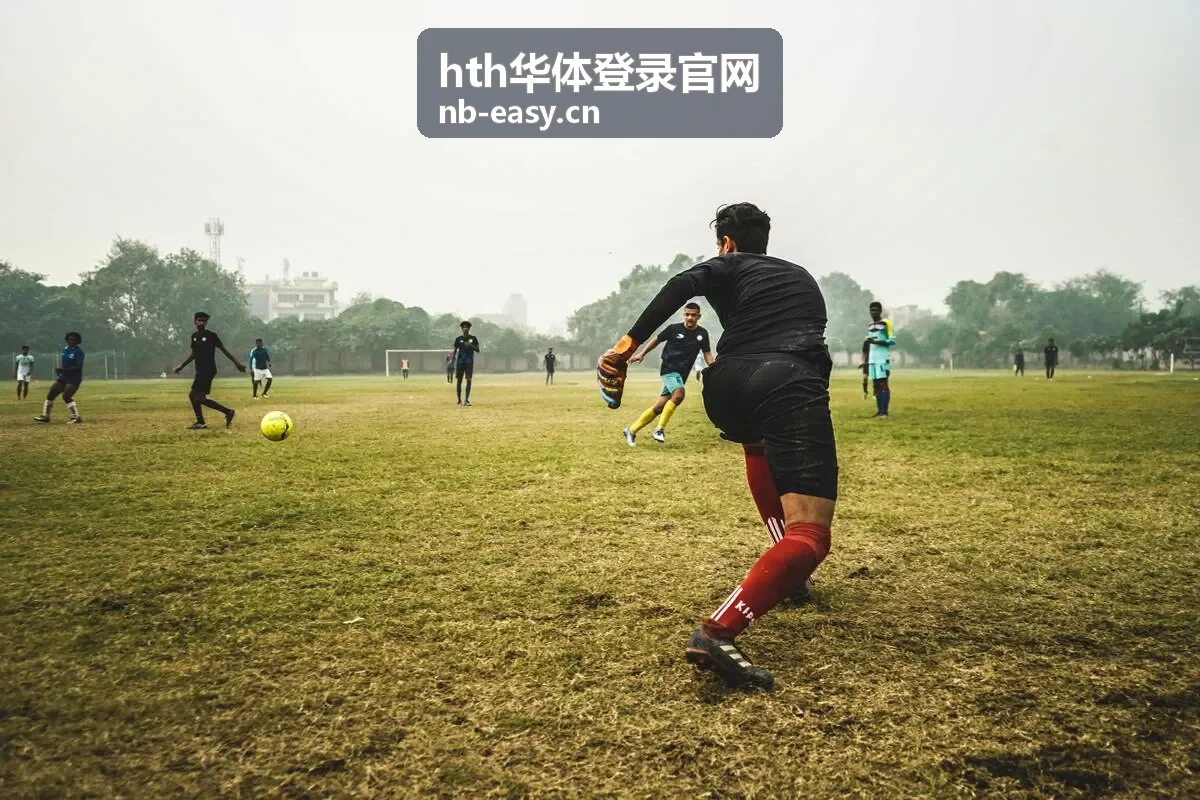 hth华体登录官网最新信息封面图